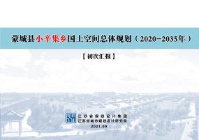 蒙城县小辛集乡国土空间总体规划（2020-2035）