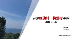 【优质项目】南江县沙河镇红旗村、将营村村规划（2020-2035）