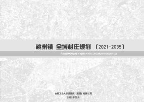 【优质案例】桃州全域村庄规划（初稿）