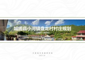 【优质项目】城固县小河镇盘龙村村庄规划（2021-2035年）