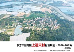 东方市新龙镇上通天村村庄规划（2020-2035）