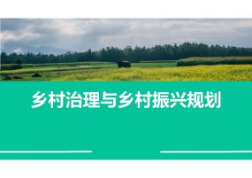 乡村治理与乡村振兴规划