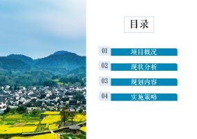 枣庄市山亭区桑村镇大河村、王庙村村庄规划(2020-2035)