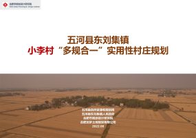 五河县东刘集镇小李村“多规合一”实用性村庄规划（2022-2035年）