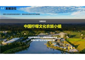 四川省安岳文化镇国土空间总体规划——乡镇级国土空间总体规划编制思考