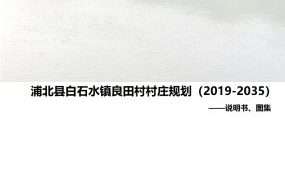 【优质项目】浦北县白石水镇良田村村庄规划（2019-2035年）