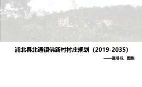 【优质项目】浦北县北通镇佛新村村庄规划（2019-2035年）