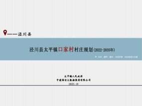 太平镇口家村村庄规划（2022-2035年）