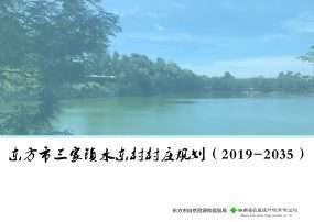 东方市三家镇水东村村庄规划（2019-2035）