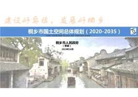 桐乡市国土空间总体规划（2020-2035）