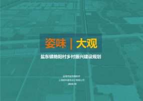 盐东艳阳村乡村振兴建设规划