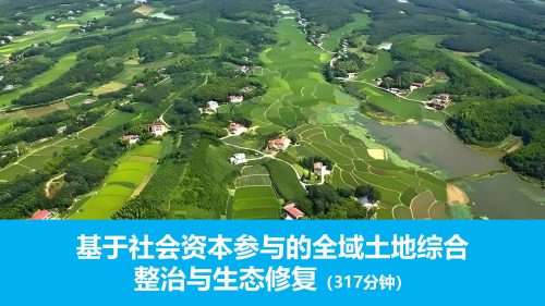 基于社会资本参与的全域土地综合整治与生态修复(317分钟)