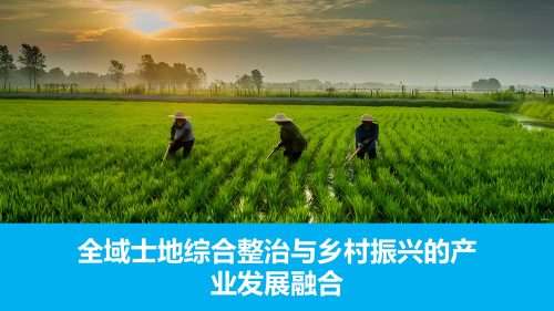 全域士地综合整治与乡村振兴的产业发展融合