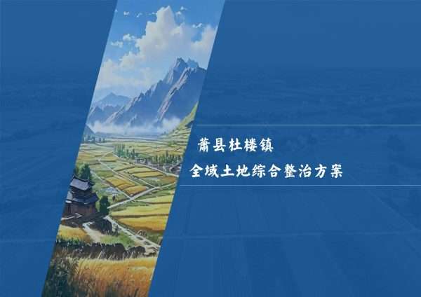萧县杜楼镇全域土地综合整治方案