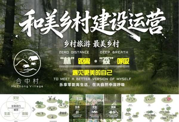 和美乡村建设运营-庙镇合中村乡村振兴示范村建设项目